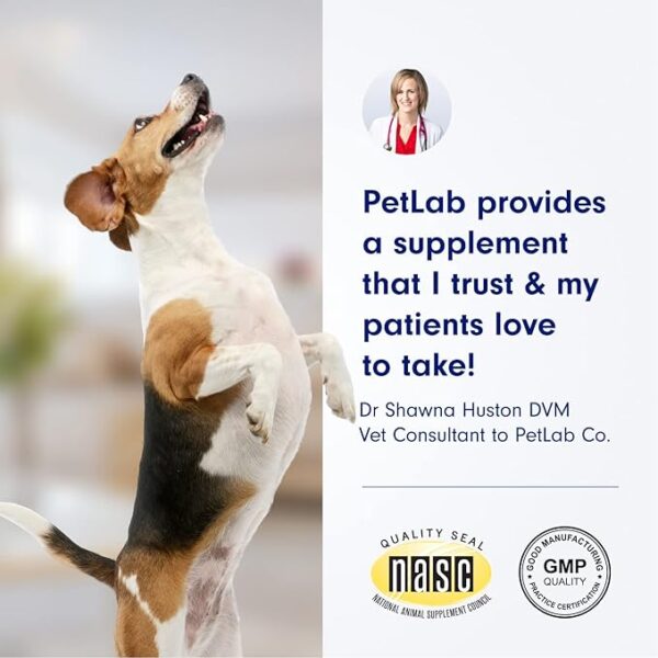 Petlab Co. Joint Care Chews - Image 2